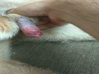 Wanking my boy